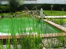 Bassin 10