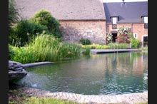 Bassin 2